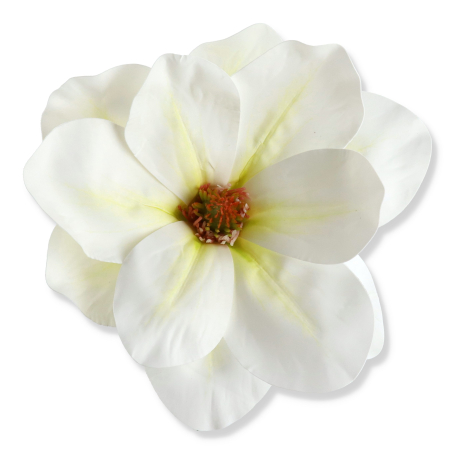 60243 white green
