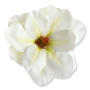 60243 white green
