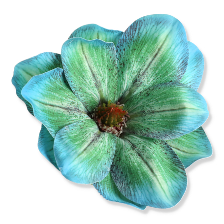 60243 turquoise