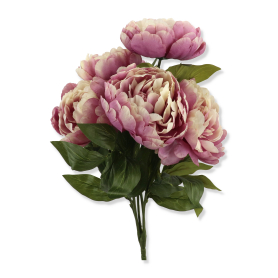 Bukiet Piwonii FYTX043-SP