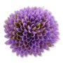62028 lt lavender