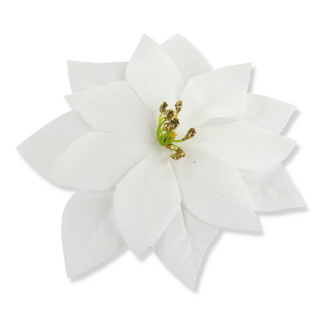 61629 white
