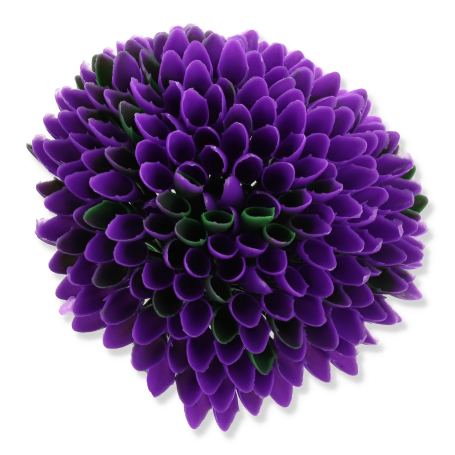 62028 lavender