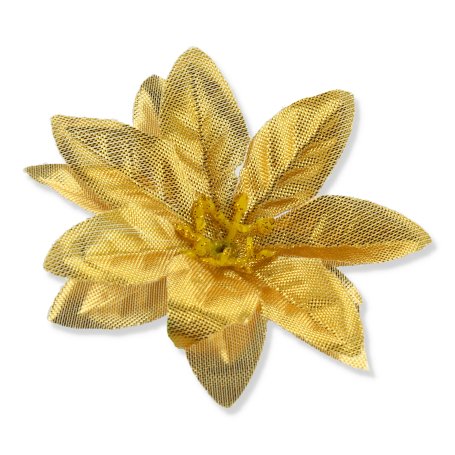 55675 gold