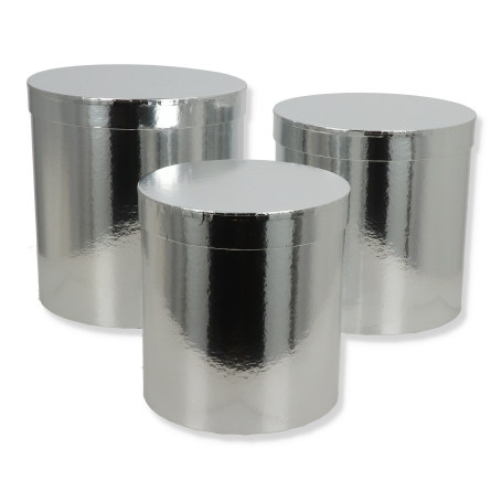 25018 silver