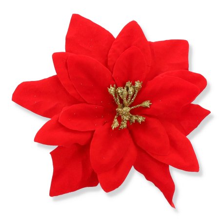 61676 red