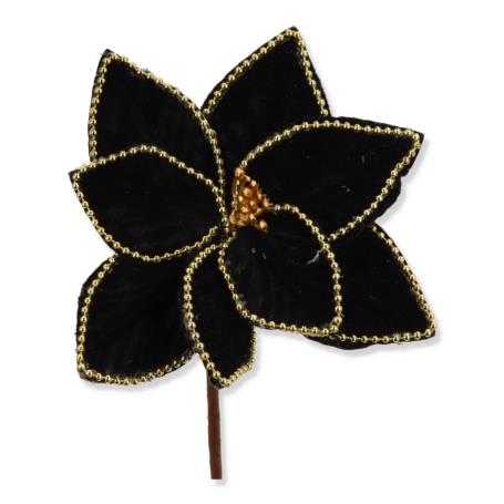 Gwiazda betlejemska na piku CV37185-8