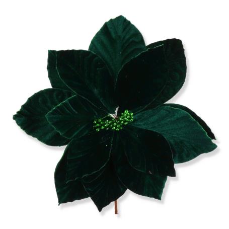 Gwiazda betlejemska na piku CV34188-7