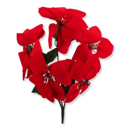 Gwiazda betlejemska bukiet x5 CV28910