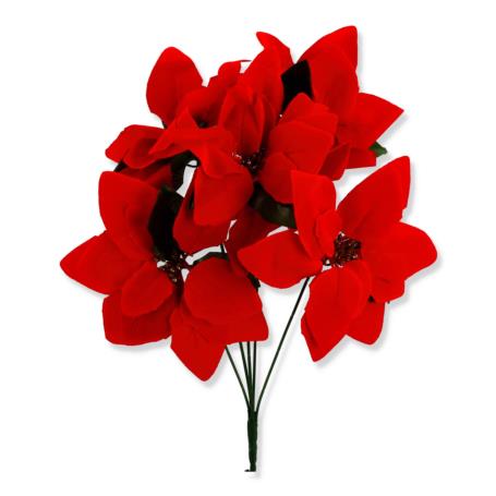 Gwiazda betlejemska bukiet x5 CV28920