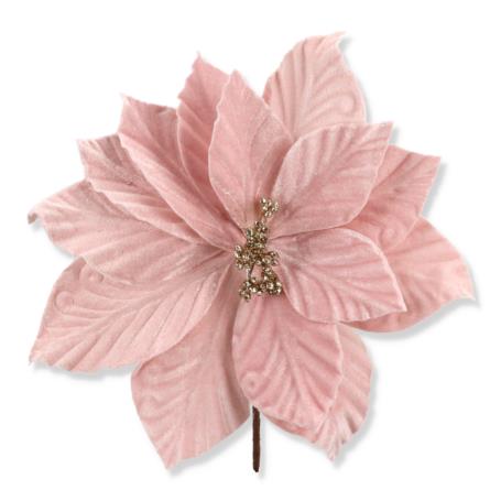 Gwiazda betlejemska na piku CV34188-4