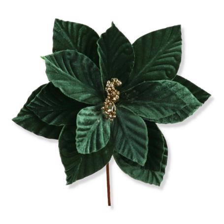 Gwiazda betlejemska na piku CV34188-6