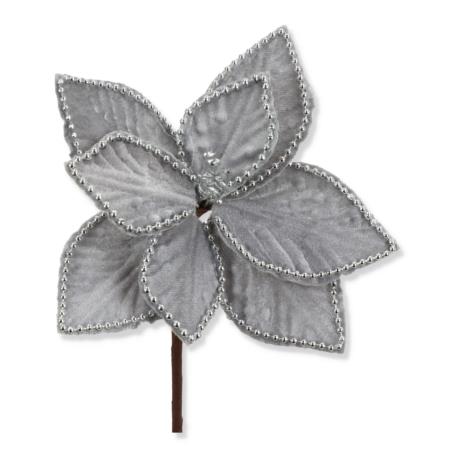 Gwiazda betlejemska na piku CV37185-2