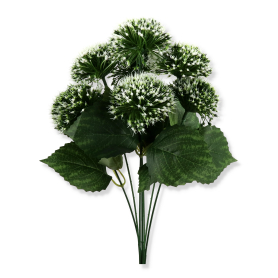 Bukiet Czosnku AK2102