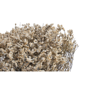 Crystal glass 120g 351CAN008_CREAM