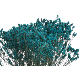 Crystal glass 120g 351CAN008_DKBL