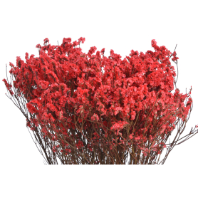 Crystal glass 120g 351CAN008_RED