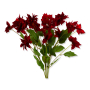 62078 red