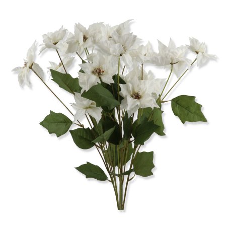 62078 white