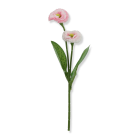 Stokrotka gałązka pojedyncza EJ003