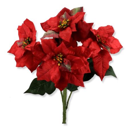 Gwiazda betlejemska bukiet XLIU041