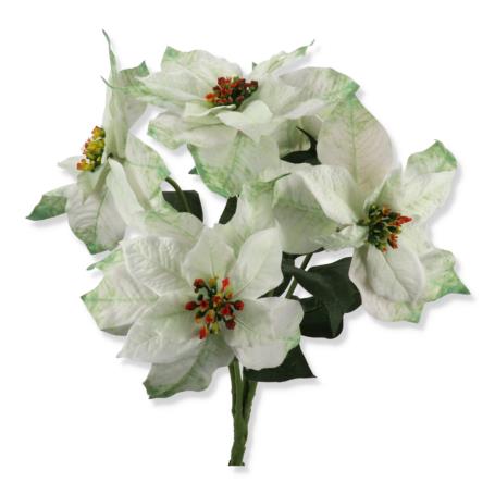 Gwiazda betlejemska bukiet XLIU041