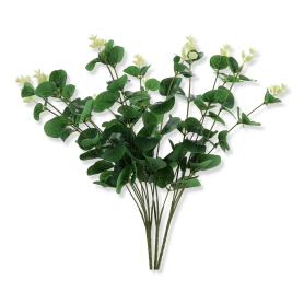 Eukaliptus bukiet 3480202