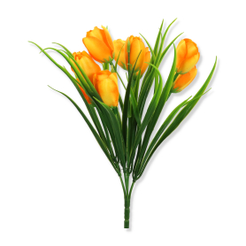 Bukiet Krokusów 3500231