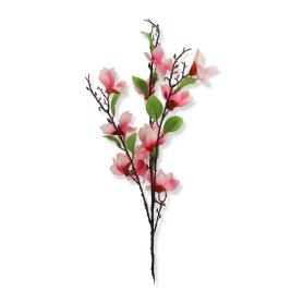 Magnolia gałązka KPA2601