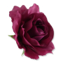 58634 new purple