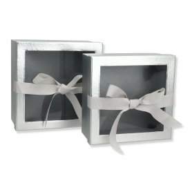 w9570 silver