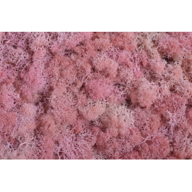 Susz mech Moss extra 500g box 306CAN0500_PK