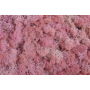 306 pink_1