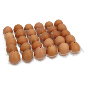 22081
