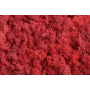 306 red_1