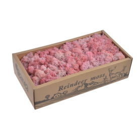 306 pink