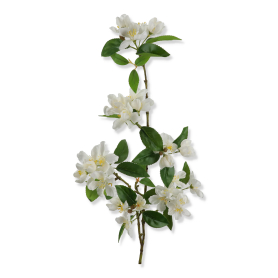 62254 white