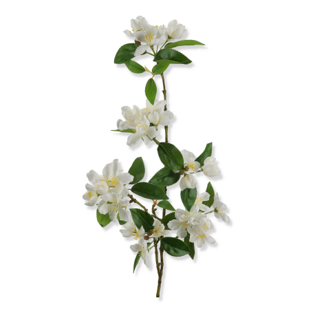 62254 white