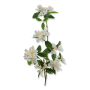 62254 white