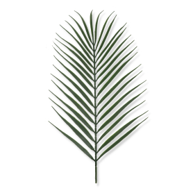 62262 powder green