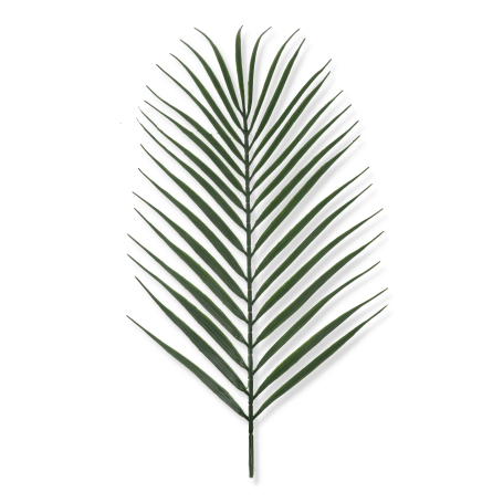 62262 powder green