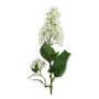 62252 white