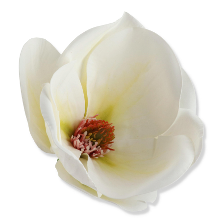 60245 white green