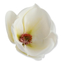 60245 white green