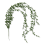 62263 powder green