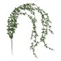 62263 powder green