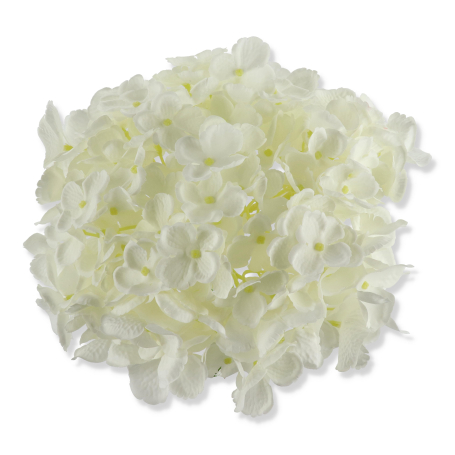 62245 white