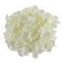 62245 white