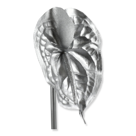 62074 silver