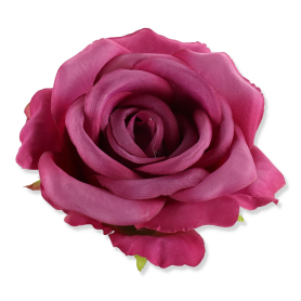 50620 lilac